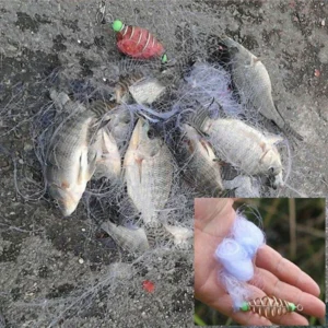 Eruptive Fish Hook Net