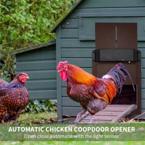 Poultry Farm Automatic Chicken House Door