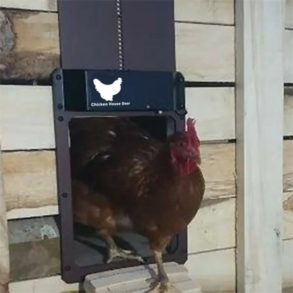 Poultry Farm Automatic Chicken House Door