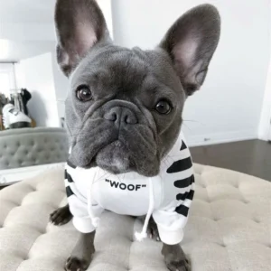 ‘WOOF’ Trendy Dog Hoodie