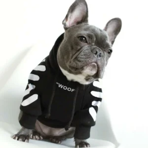 ‘WOOF’ Trendy Dog Hoodie