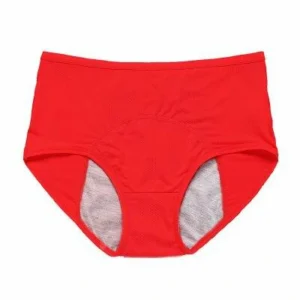 5Pcs/Set High Waist Leak Proof Panties （You Can Remark Product Color And Quantity At Checkout）