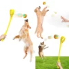 Dog Molars Throwing Toy Training Ball And Cue Stick