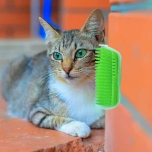 (💥New Year Promotion💥-50% OFF)The Cat's Corner Massage Brush