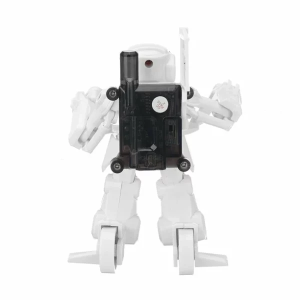 🎁Christmas Sale -50% OFF🎄RC Battle Boxing Robot