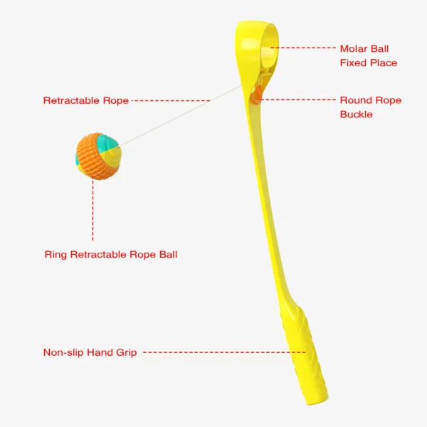 Dog Molars Throwing Toy Training Ball And Cue Stick