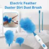 Electric Chicken Hair Duster