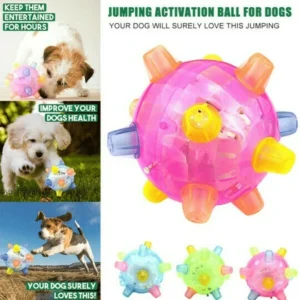 🔥Christmas Sale 49% OFF💥Buy 2 Get 1 Free💥Jumping Activation Ball For Dogs