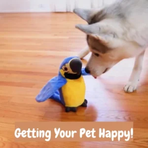 [PROMO 30% OFF] PetCare™ Talking Parrot