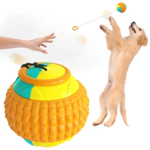 Dog Molars Throwing Toy Training Ball And Cue Stick