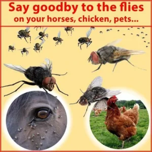 【ONLY $9.99 EACH🔥BUY 2 GET 1 FREE】REUSABLE FLY TRAP