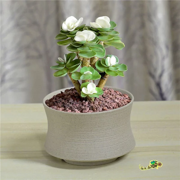 Early christmas Sale 50%off- Petal Leaf Succulent