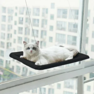 CAT HANGING BEDS