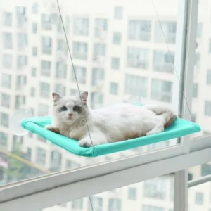 CAT HANGING BEDS