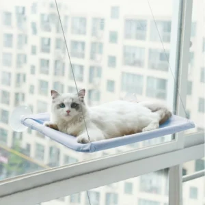 CAT HANGING BEDS