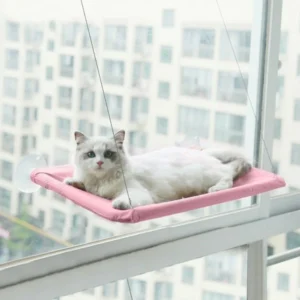 CAT HANGING BEDS