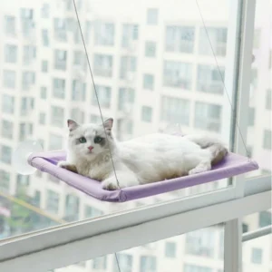 CAT HANGING BEDS