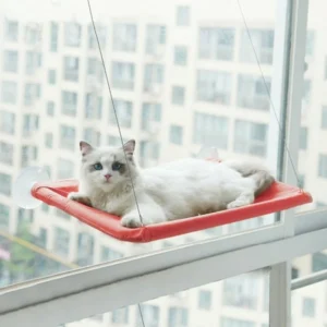 CAT HANGING BEDS