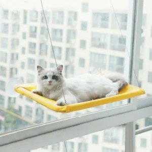 CAT HANGING BEDS