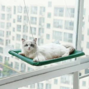 CAT HANGING BEDS