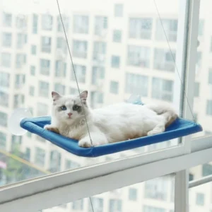 CAT HANGING BEDS