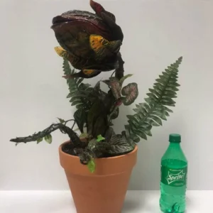 Audrey II / Piranha decoration