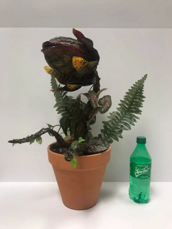 Audrey II / Piranha decoration