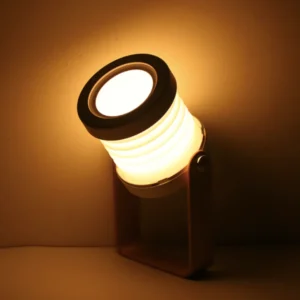 Modern Multi-Purpose Lamp.