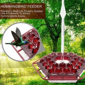 Hummingbird Feeder With Perch And Built-in Ant Moat ⏰ Special Offer ⏰