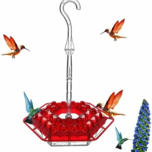 Hummingbird Feeder With Perch And Built-in Ant Moat ⏰ Special Offer ⏰