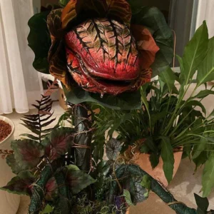 Audrey II / Piranha decoration