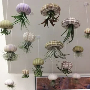 Super Cute!Hanging Plant Pot Jellyfish Aerial Plant