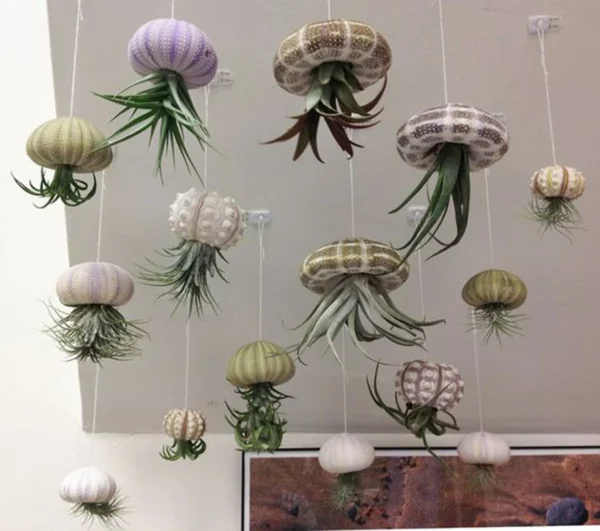 Super Cute!Hanging Plant Pot Jellyfish Aerial Plant