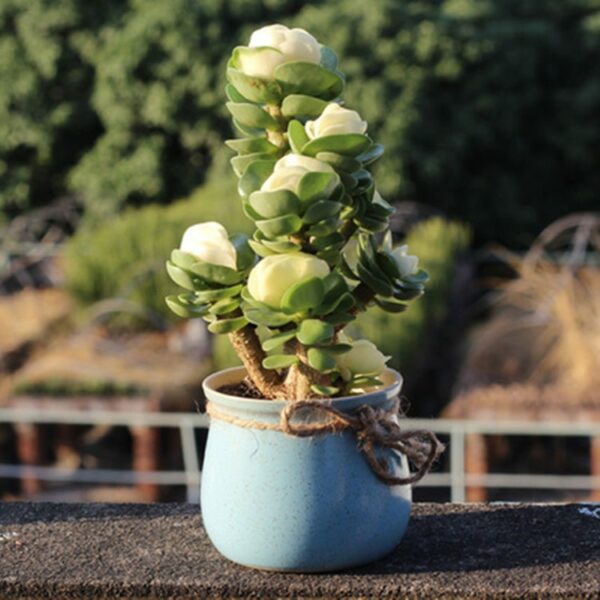 (💝Valentine's Day SALE NOW-48% OFF) Petal Leaf Succulent