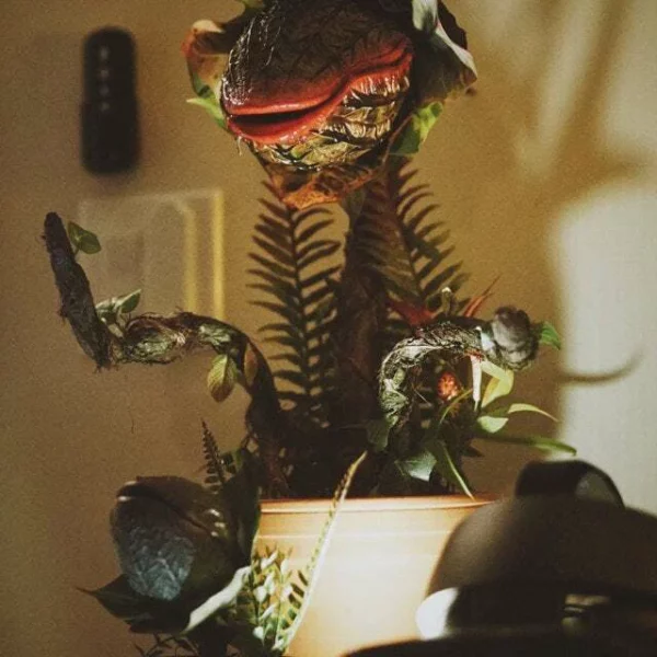 Audrey II / Piranha decoration