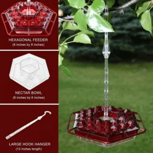 Hummingbird Feeder With Perch And Built-in Ant Moat ⏰ Special Offer ⏰