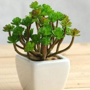 (💝Valentine's Day SALE NOW-48% OFF) Petal Leaf Succulent