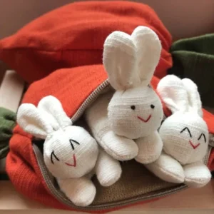 Hide-and-Seek Bunnies in Carrot Pouch