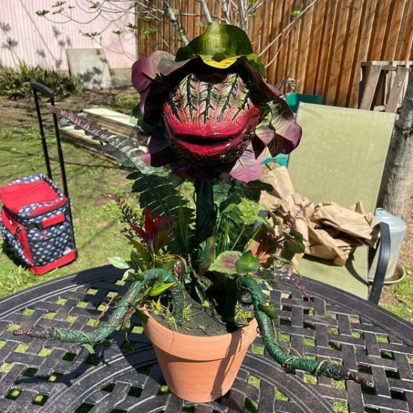 Audrey II / Piranha decoration