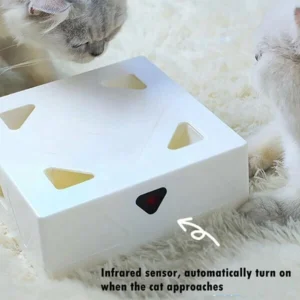 Smart Sensor FunBox for Pets🎁New Year 2022 Sale-49%OFF🎁