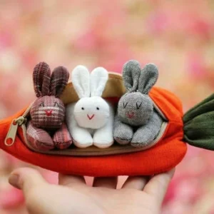 Hide-and-Seek Bunnies in Carrot Pouch