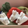 Hide-and-Seek Bunnies in Carrot Pouch