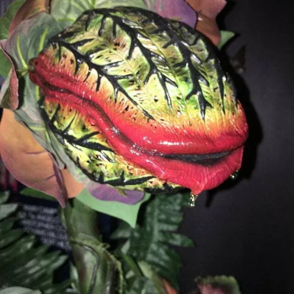 Audrey II / Piranha decoration