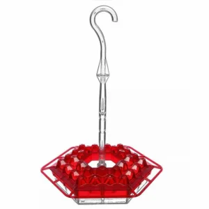 Hummingbird Feeder With Perch And Built-in Ant Moat ⏰ Special Offer ⏰