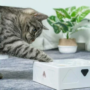 Smart Sensor FunBox for Pets🎁New Year 2022 Sale-49%OFF🎁