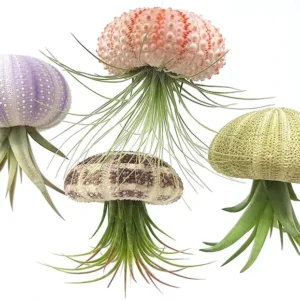 Super Cute!Hanging Plant Pot Jellyfish Aerial Plant