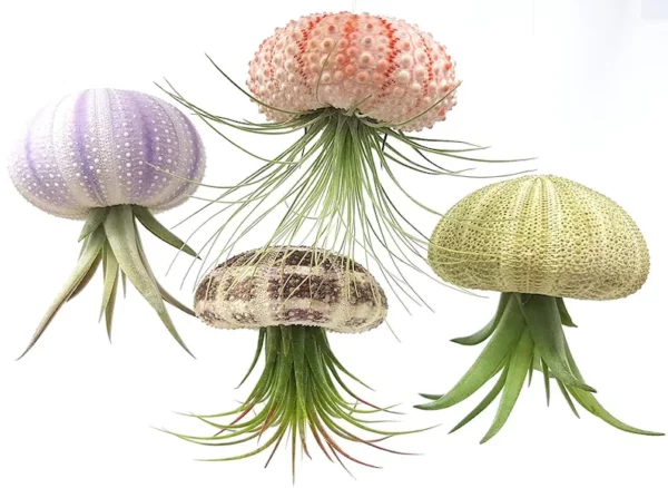 Super Cute!Hanging Plant Pot Jellyfish Aerial Plant