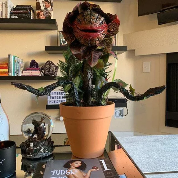 Audrey II / Piranha decoration