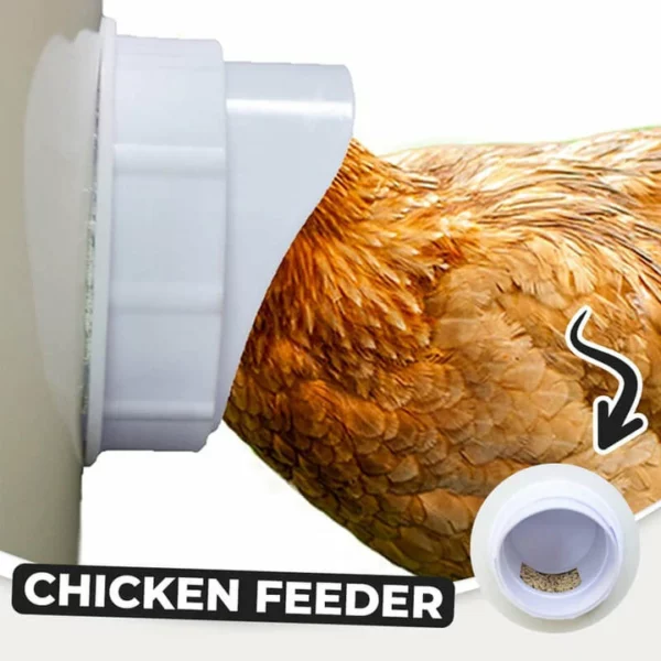 DIY Chicken Feeder 50% OFF NOW🔥