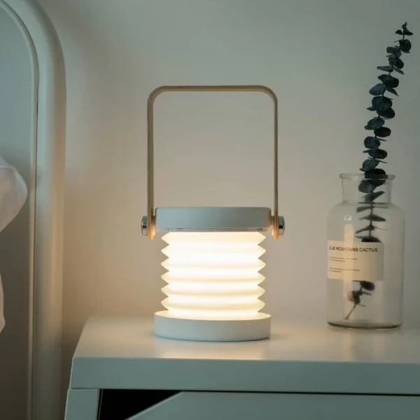 Modern Multi-Purpose Lamp.